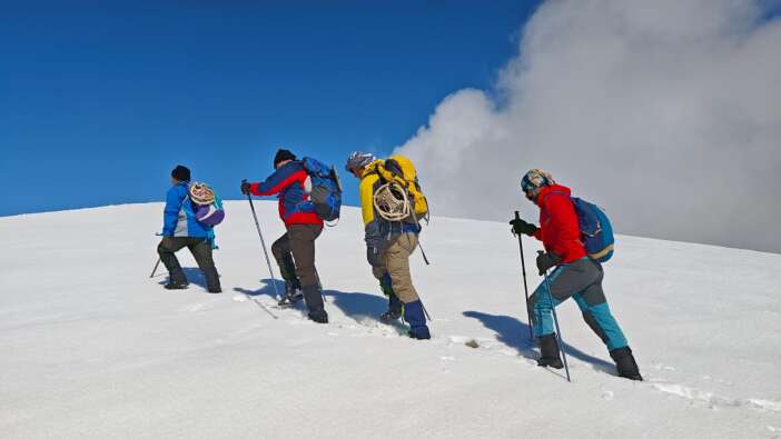 whatsapp-image-2026-02-15-at-22-43-03-jpeg-11