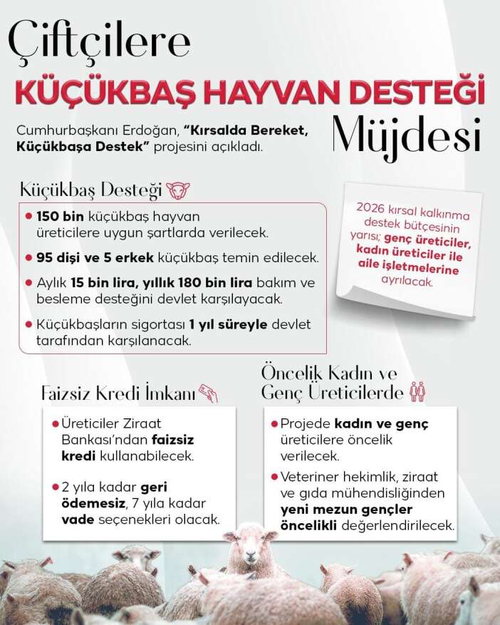 whatsapp-image-2026-02-22-at-15-12-28