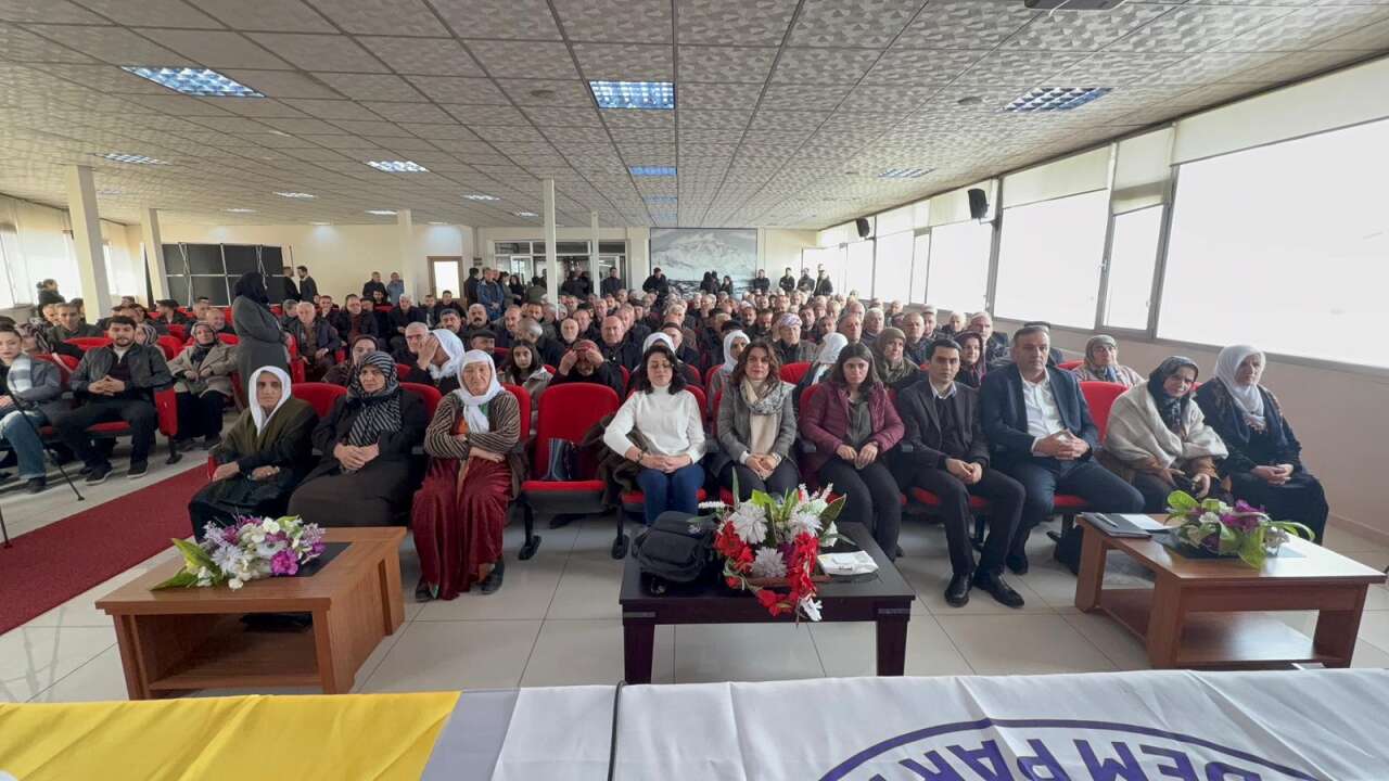 whatsapp-image-2026-02-22-at-15-46-57