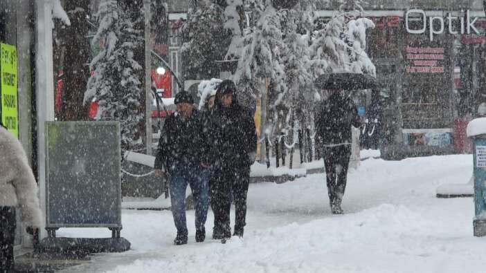 vanda-kar-kagiisi-mart-ayi