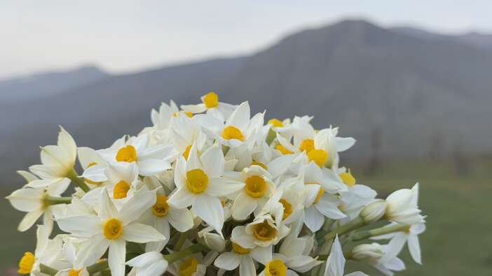 derecik-baharini-yasiyor-3-jpg-1