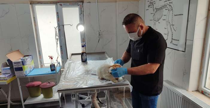 7812aaaa-5ace-4d8a-ae56-743fe8c78eca