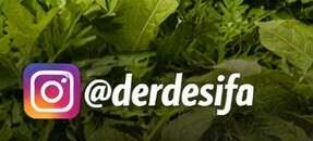 2613a029-7e4b-4c50-8e46-780d4b8b37f2