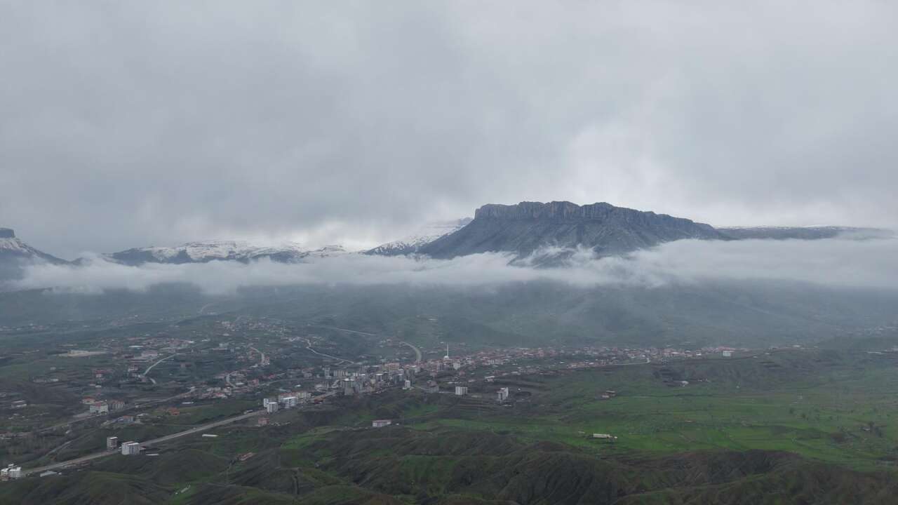 whatsapp-image-2026-03-30-at-15-49-15-1