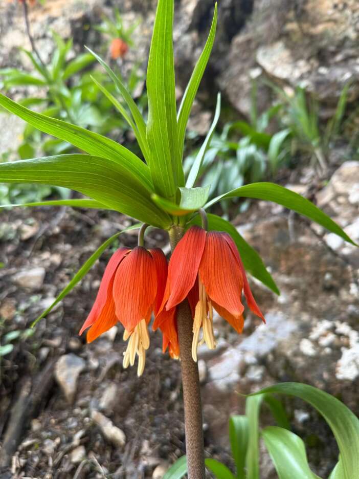 670826357-18435732466189667-2646648958565250823-n