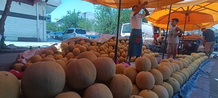 whatsapp-image-2026-07-16-at-13-00-22