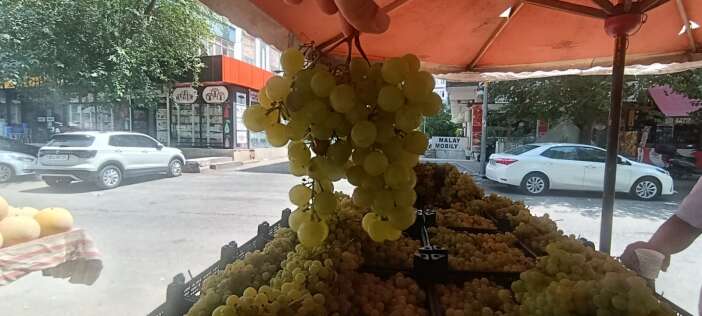 whatsapp-image-2026-08-02-at-08-06-38-1
