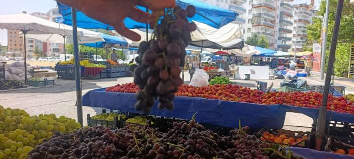 whatsapp-image-2026-08-02-at-08-06-38